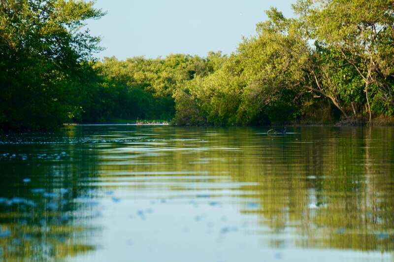 Holbox: Mangrove Sunset Kayak Tour - Paddling reality check: currents, tide, wind, and unpredictability