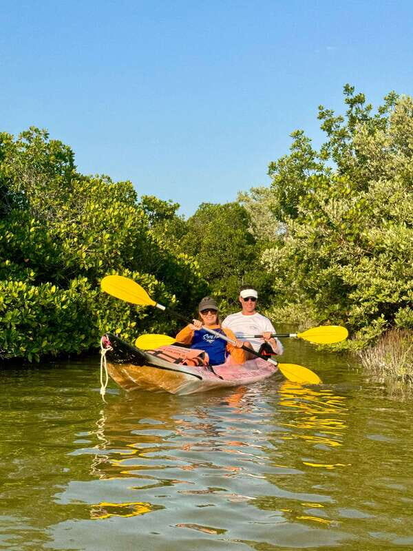 Holbox: Mangrove Sunset Kayak Tour - Price and value: is $55 worth it?