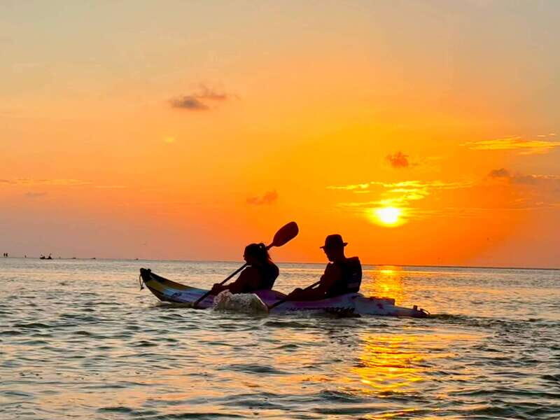 Holbox: Mangrove Sunset Kayak Tour - Flamingo kayaks and the first paddle: fun gear, real safety