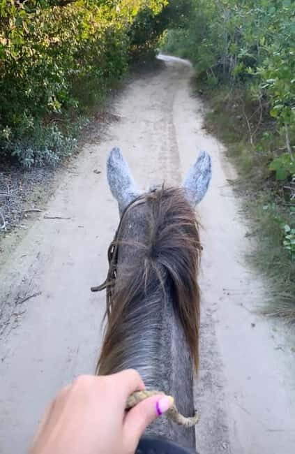 Holbox: Private Horseback Riding - Key things to know before you book