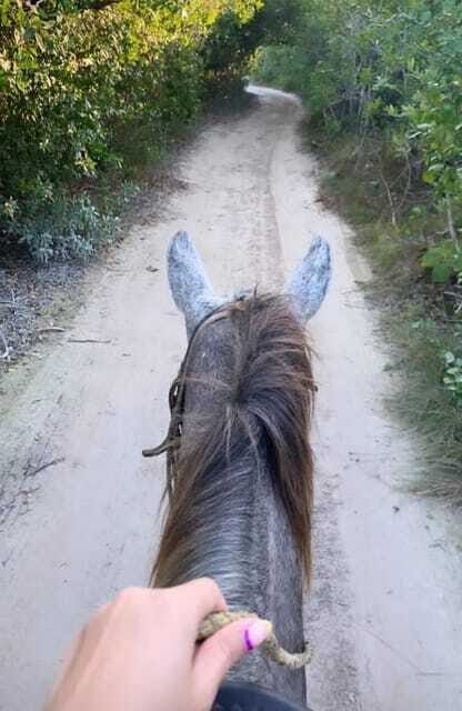 Holbox: Private Horseback Riding - Who this is perfect for (and who should skip)