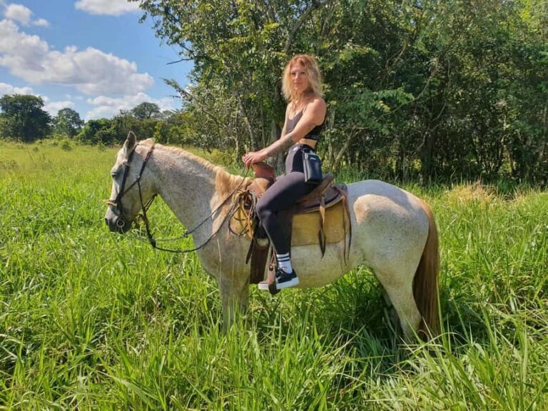 Holbox: Private Horseback Riding - What the 80 minutes looks like: trot, mangrove time, and controlled beach scenery
