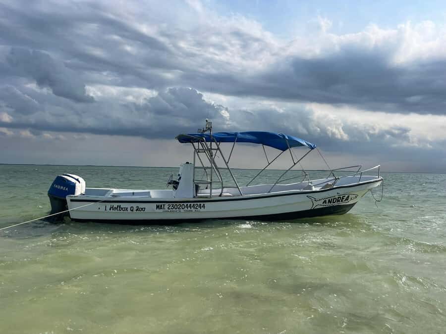 Holbox: Punta Mosquitos, Birds & Pasión Island Boat Tour - Isla de la Pásion: a virgin island swim in mangrove water