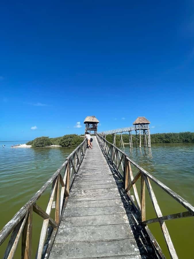 Holbox: Punta Mosquitos, Yalahau, & Pasión Island Boat Tour - Who this tour fits best on a Holbox trip