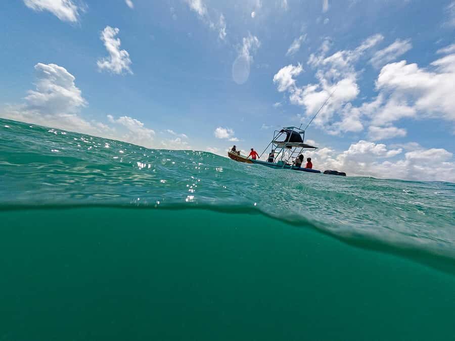 Holbox: Search and Swim with Whale Sharks ! All Inclusive. - Should You Book VIP Holbox Experience?