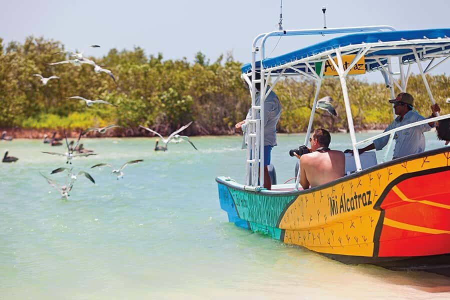 Holbox: Search and Swim with Whale Sharks ! All Inclusive. - Price and Value: Is $224 Worth It?