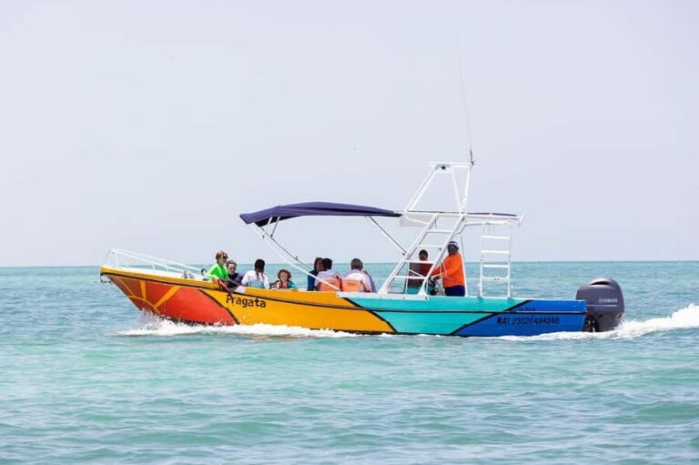 Holbox: Search and Swim with Whale Sharks ! All Inclusive. - The Speedboat Run: Fun Views, Real Sun, and Real Bumps