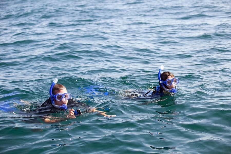 Holbox: Search and Swim with Whale Sharks ! All Inclusive. - What to Pack: Small Items, Big Comfort