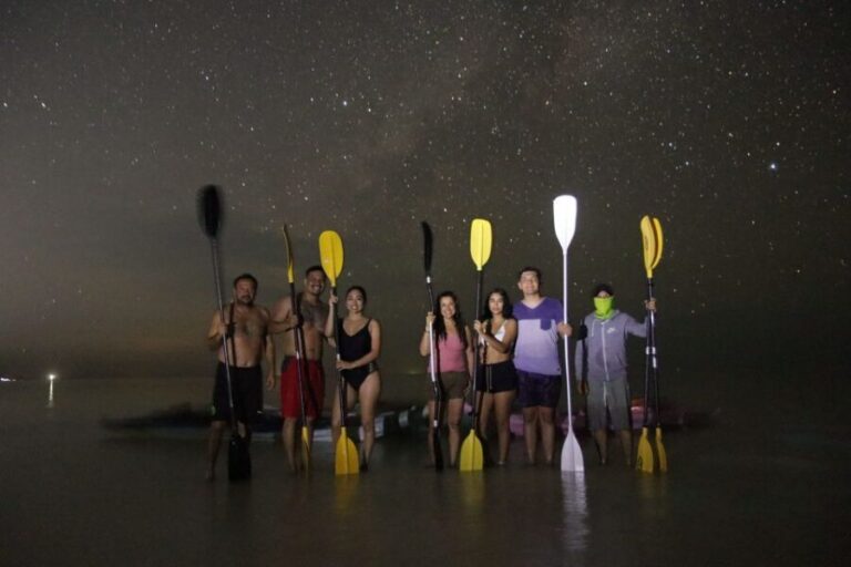 Holbox: Stars and Bioluminescent Marine Life Kayaking Tour - Holbox at Night: Why This Kayak-Plus-Stars Combo Works