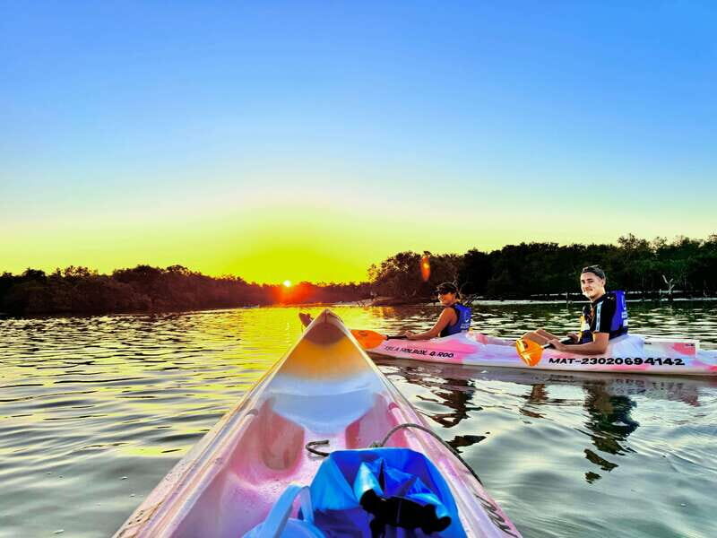 Holbox: Sunrise & Mangrove Kayak Tour - Why this Holbox sunrise kayak feels like the real island