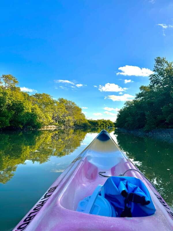 Holbox: Sunrise & Mangrove Kayak Tour - Entering the Kuká River: mangroves, quiet rules, and good bird eyes