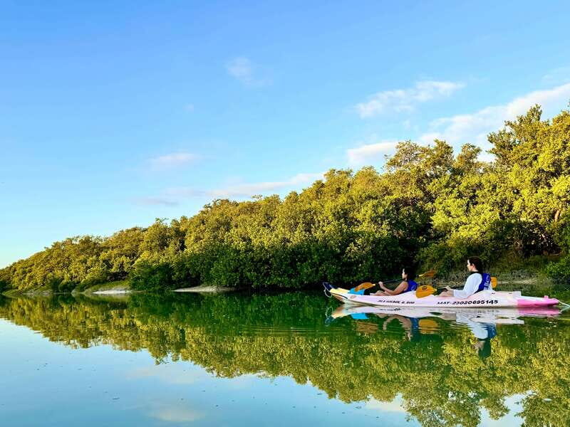 Holbox: Sunrise & Mangrove Kayak Tour - Crocodiles in the wild: what “not aggressive” really means for you