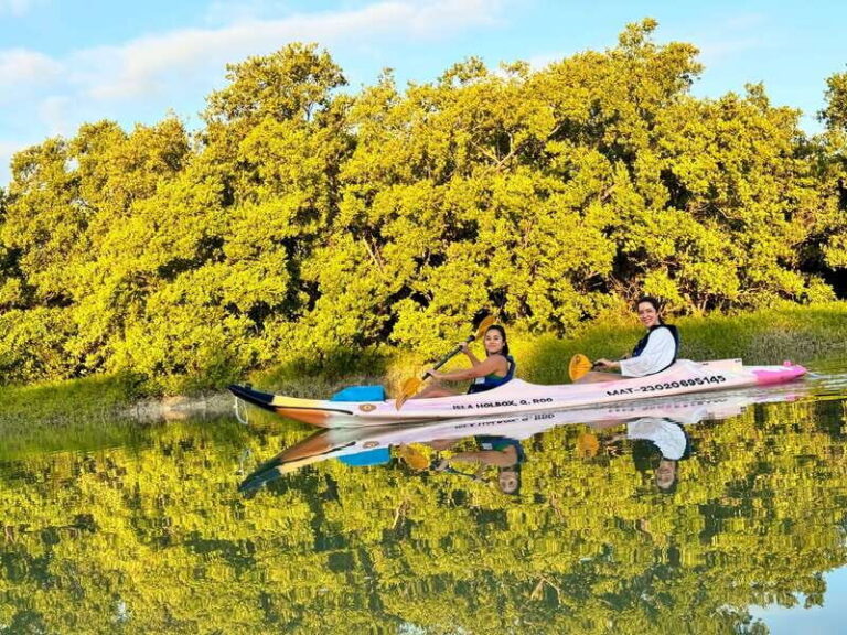 Holbox: Sunrise & Mangrove Kayak Tour - Getting there: hotel pickup plus golf cart transfers