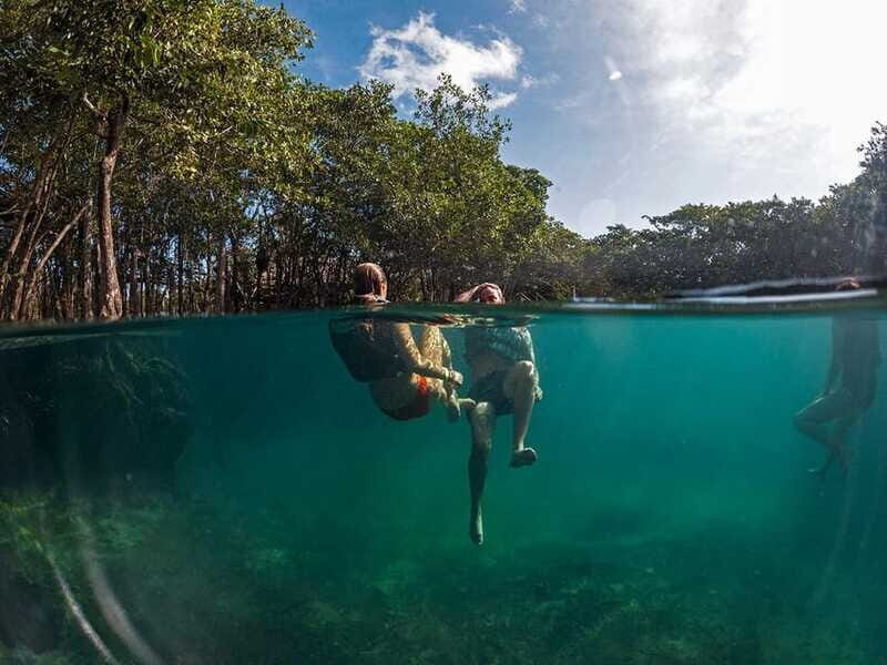Holbox: Yum Balam Reserve Classic Boat Tour - Should you book the Holbox Yum Balam Reserve Classic Boat Tour?