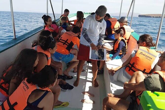 holy spirit island tour - Sea-lion swimming: the part people talk about for a reason