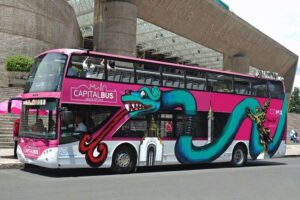 Hop-on Hop-off or Night Tour Tourist Bus in Mexico City - Meeting Point, Operating Hours, and the 24-Hour Advantage