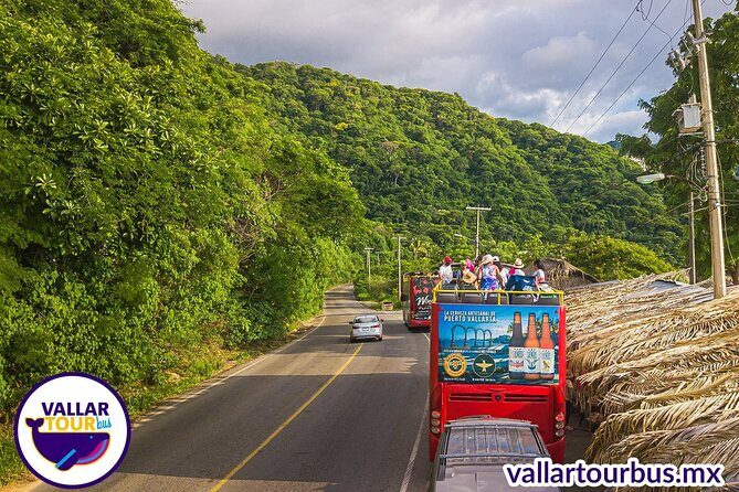 Hop On Hop Off Tour with Free Stops in Puerto Vallarta - What Can Go Wrong (and How to Keep Your Day Smooth)