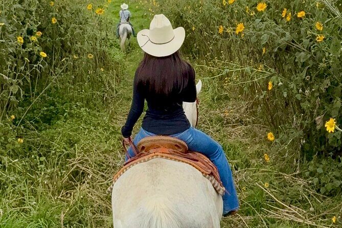 Horseback, Culture & Mexican Flavors Experience - Key highlights worth marking on your map