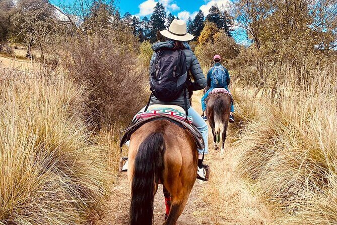 Horseback, Culture & Mexican Flavors Experience - A ranch day you can actually picture: horseback, culture, and Mexican flavors
