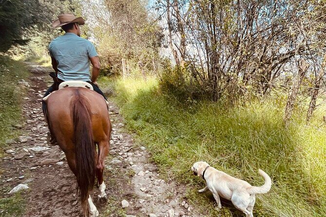 Horseback, Culture & Mexican Flavors Experience - Your horseback ride: 2 hours of trained-horse confidence and real trail time