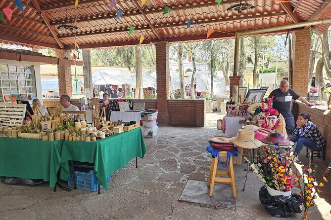 Horseback, Culture & Mexican Flavors Experience - What you learn about horses: morphology, breeds, and why it matters