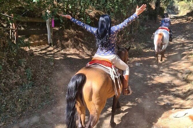 Horseback, Culture & Mexican Flavors Experience - Culture beyond the menu: ranch family energy and an occasional horse show
