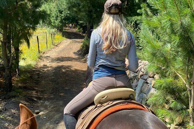 Horseback, Culture & Mexican Flavors Experience - Arrival in Tepe: snacks that reset your energy before you ride