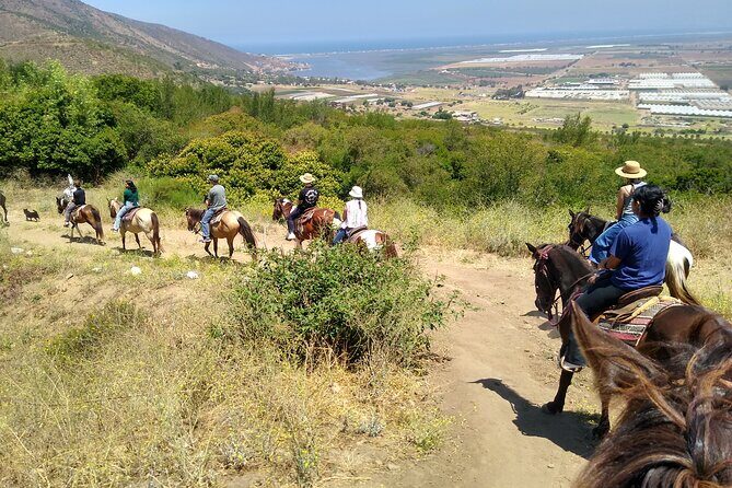 Horseback Mountain Trail Ride - Price and what you truly get for $60