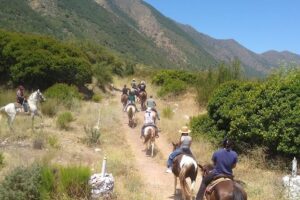Horseback Mountain Trail Ride - The actual rhythm: from ranch setup to mountain trail