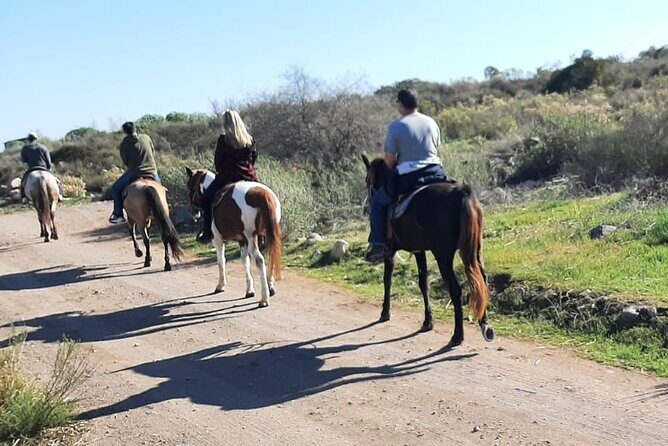 Horseback Mountain Trail Ride - Getting the views at the hilltops (and why that matters)