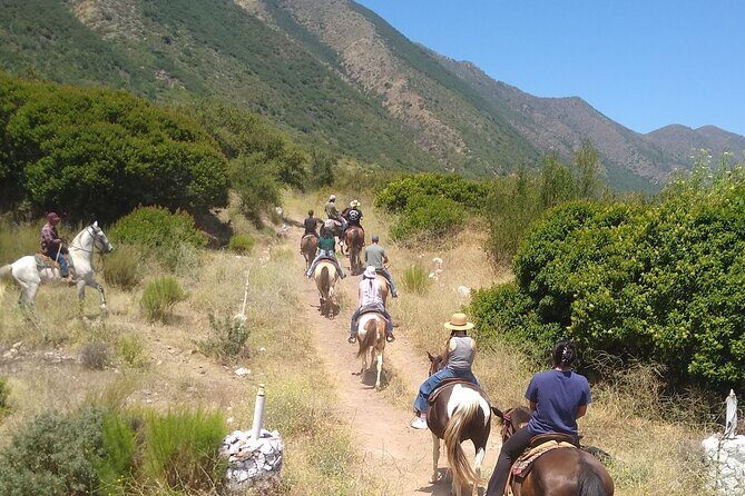 Horseback Mountain Trail Ride - The actual rhythm: from ranch setup to mountain trail