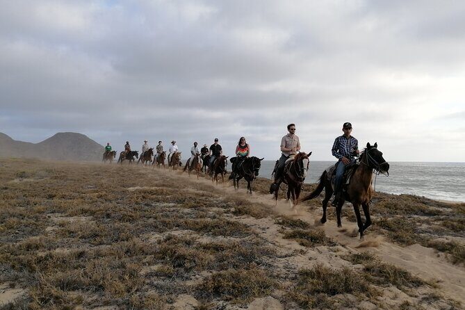 Horseback riding - Price and value: is $155.32 a fair deal?