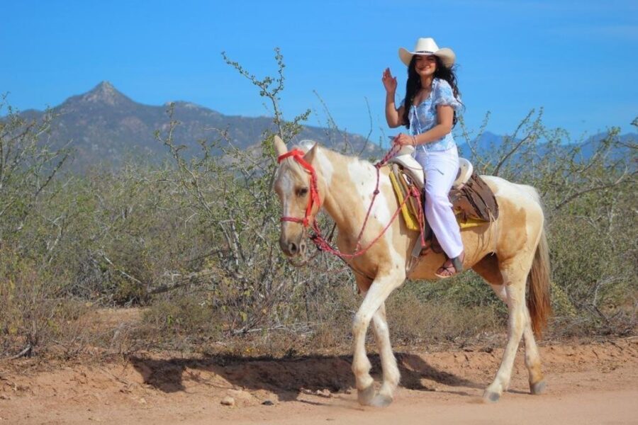 Horseback Riding Adventure in Playa Migriño with Tequila Tasting - When to go for gray whales and how weather can affect you