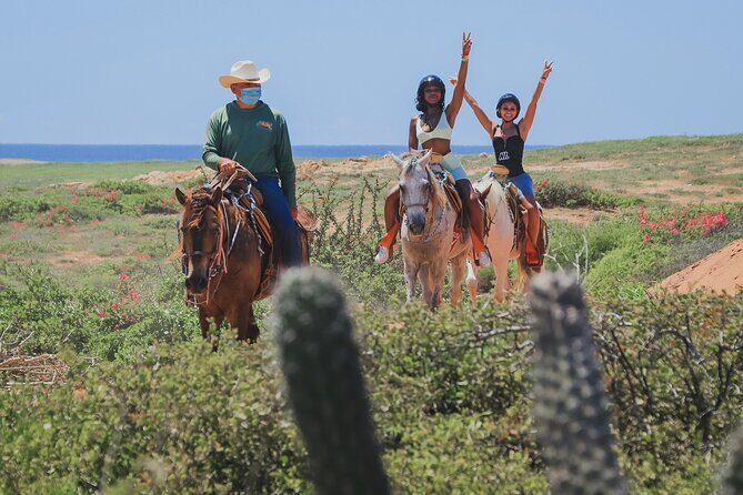 Horseback Riding Beach and Desert in Cabo - Key Points You’ll Care About
