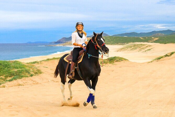 Horseback Riding Beach and Desert in Cabo - Riding the Baja Desert to Cabo’s Pacific Beaches