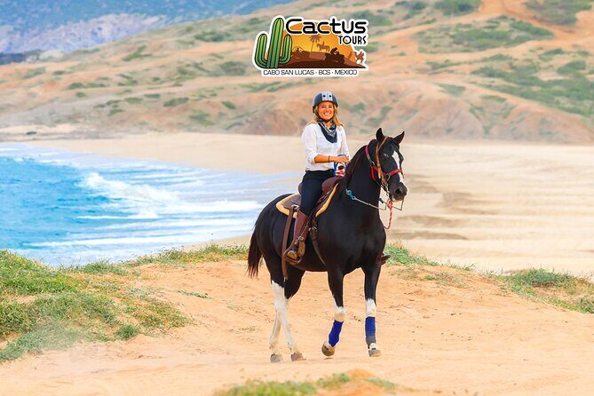 Horseback Riding Beach and Desert in Cabo - Safety Briefing, Helmet Use, and Meeting Your Horse