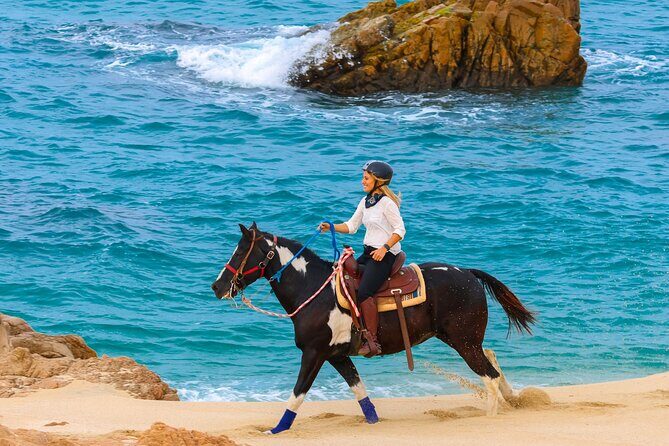 Horseback Riding Beach and Desert in Cabo - Price Reality Check: $85 Is Only the Start