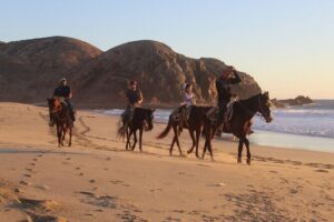 Horseback Riding Experience in Rancho San Cristobal - Guides like Oscar, Alex, Erwin, and Pedro teach what you see