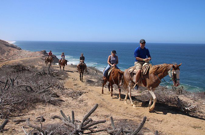 Horseback Riding Experience in Rancho San Cristobal - The physical side: what “strong physical fitness” really means
