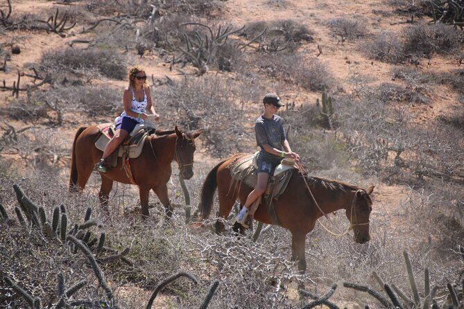 Horseback Riding Experience in Rancho San Cristobal - Quelele stop: included quesadillas and a satisfying wrap-up