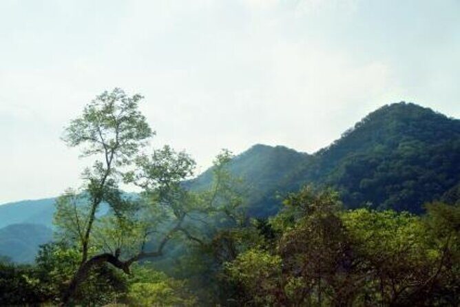Horseback Riding Experience in Sierra Madre Mountains - Key Things to Know Before You Go