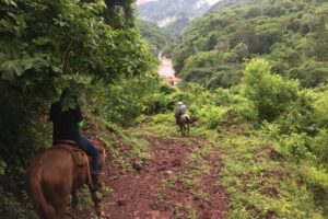 Horseback Riding Experience in Sierra Madre Mountains - The Sierra Madre ride: jungle paths, river views, and a real pace
