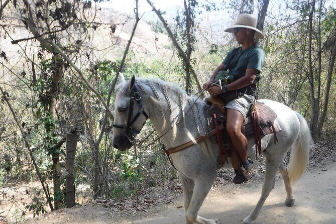 Horseback Riding Experience in Sierra Madre Mountains - The bridge moment: walking Puente Colgante El Jorullo