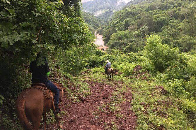 Horseback Riding Experience in Sierra Madre Mountains - The Sierra Madre ride: jungle paths, river views, and a real pace