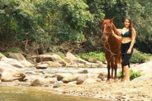 Horseback Riding in Sayulita Through Jungle Trails to the Beach - Pick-Up, Ranch Arrival, and How the Day Really Starts