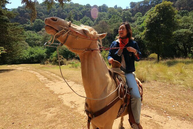 Horseback Riding in the Forest and Breakfast in Cabin - Quick hits from this day trip