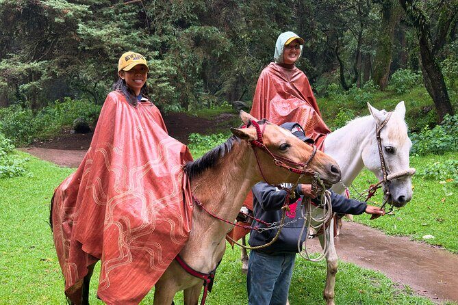 Horseback Riding in the Forest and Breakfast in Cabin - Los Dinamos horseback riding: a real break from CDMX