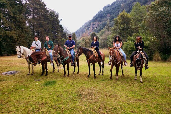Horseback Riding in the Forest and Breakfast in Cabin - Los Dinamos forest: why the setting is the real highlight