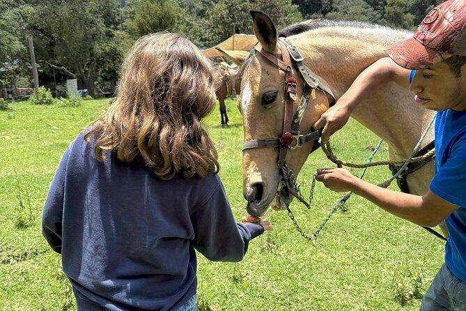 Horseback Riding in the Forest and Breakfast in Cabin - Cabin meal in the forest: what lunch feels like out there