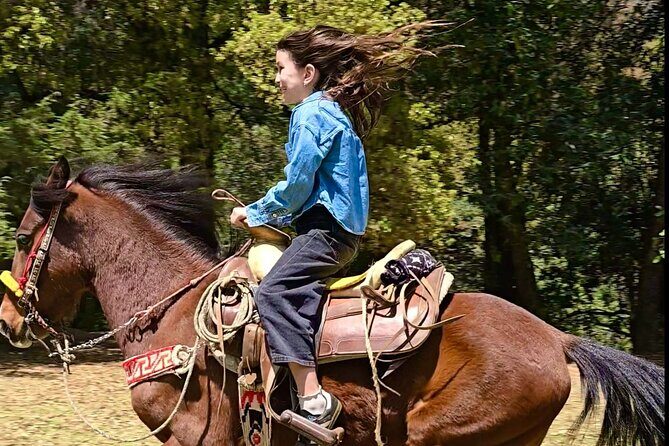 Horseback Riding in the Forest and Breakfast in Cabin - Price and value: is $161.20 actually fair?